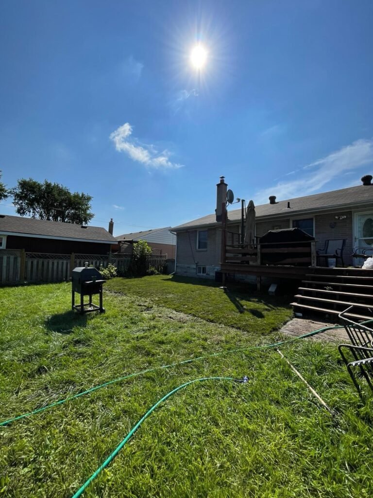 The picture shows a patch of lawn that is having sod installed for a fresh look.