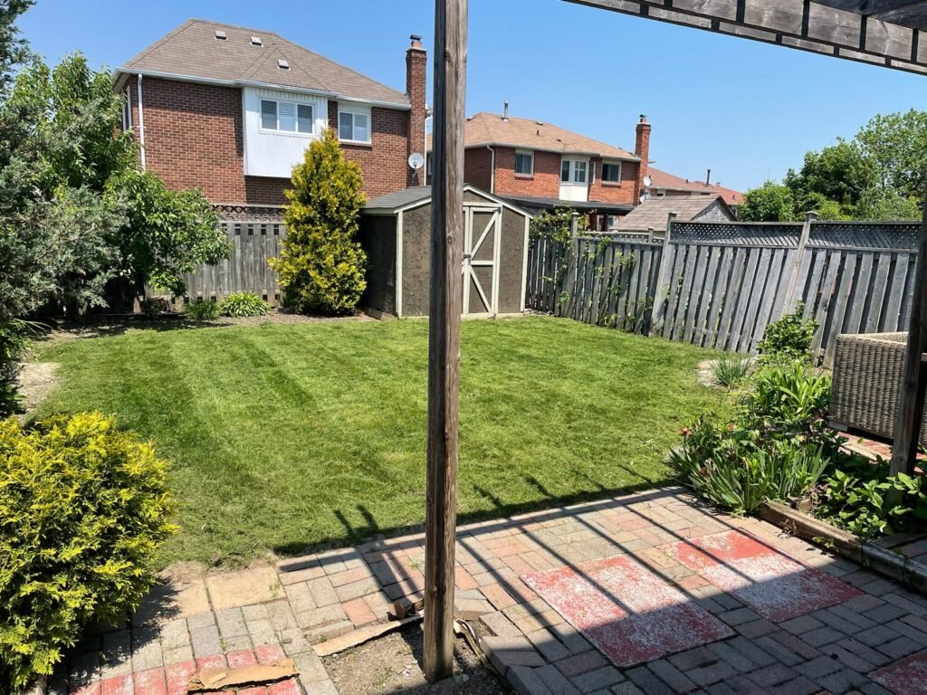 Well-maintained backyard featuring freshly cut green grass, a wooden fence, and a garden shed, showcasing professional landscaping in Pickering, Ontario. Perfect example of a neatly landscaped residential outdoor space with lush greenery.